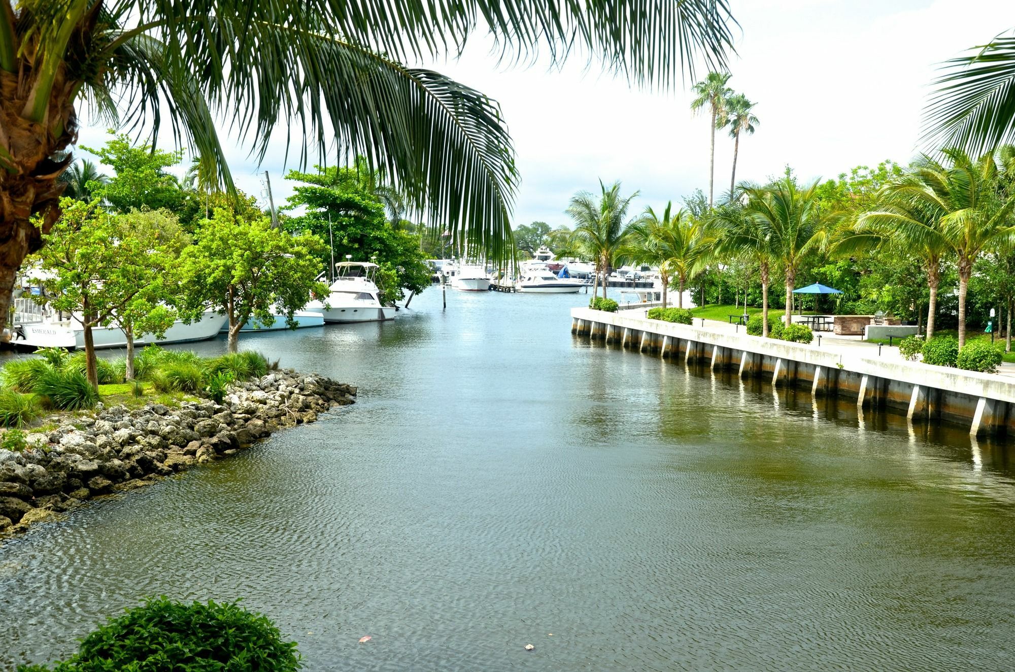 Riviera Luxury Living At River Oaks Marina And Tower Майами Экстерьер фото